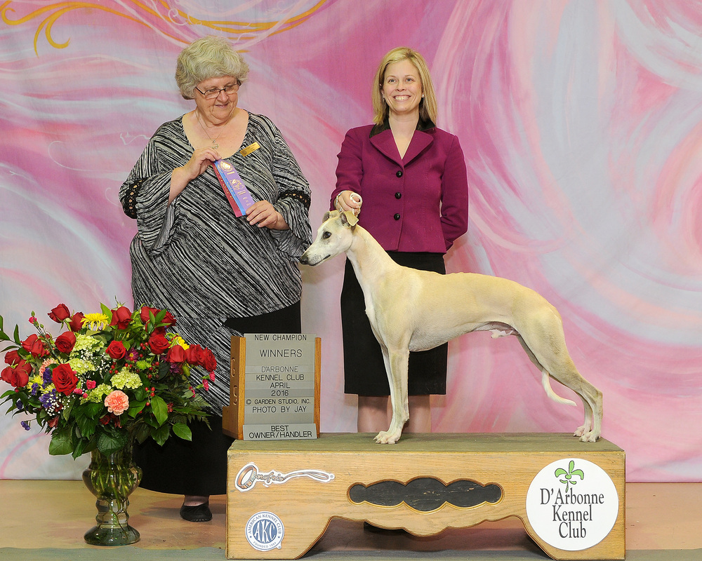Rusalka whippets clearance